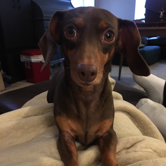 Meet your Posher, Laura - Picture 11 of 12